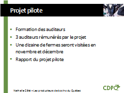  Projet pilote